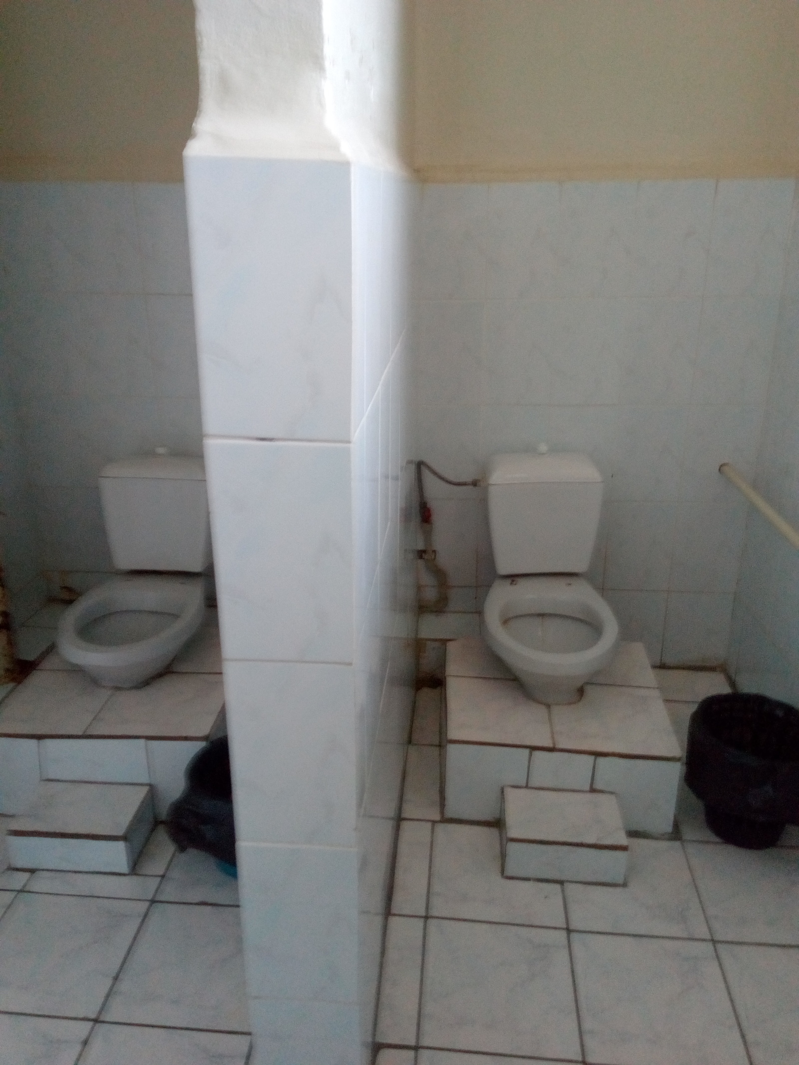 Toilet in Pravdinsk, Nizhny Novgorod region. You have no idea how it stinks in here! And mothers take boys to the women's toilet! Simply goof! - Hospital, Horror, The medicine, Longpost