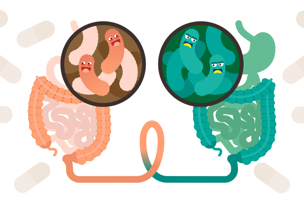 Biologists have made a portrait of the best donor of feces - My, Microbiology, The medicine, Transplantation, Feces, The science