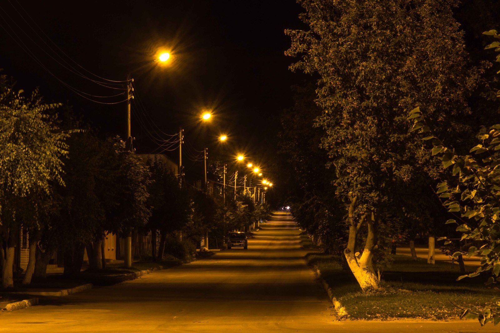 Экскурсия. Острогожск, район. | Пикабу