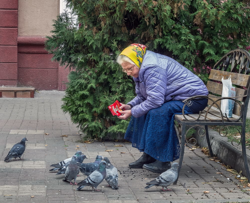 Бабкины семечки | Пикабу