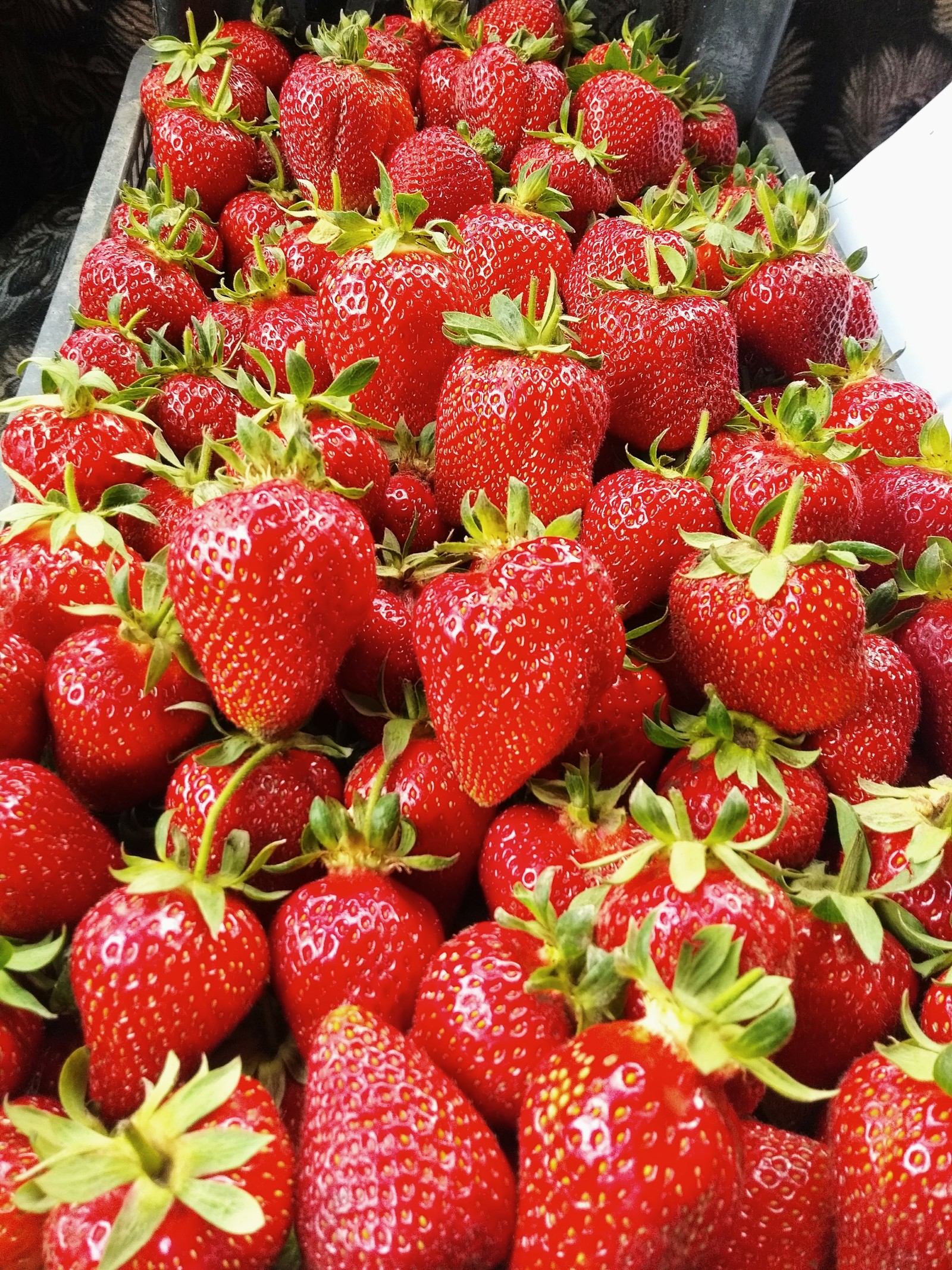 Our garden and vegetable garden. - My, Summer, Garden, Garden, Фрукты, Berries, Longpost