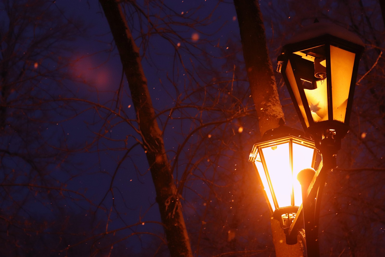 One-eyed Joe. - My, Lamp, The photo, Beginning photographer, The park, Winter