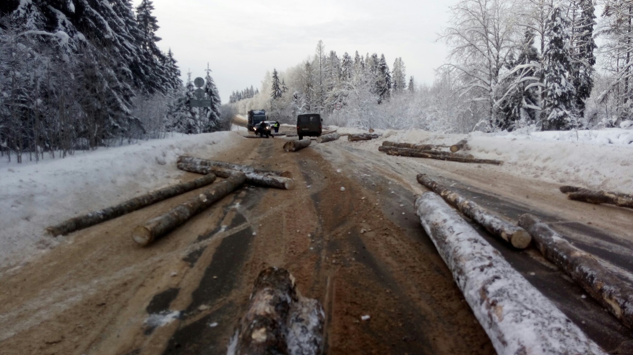 Timber truck in the Leningrad region scattered logs on the road - Timber carrier, Road accident, Log, , Longpost