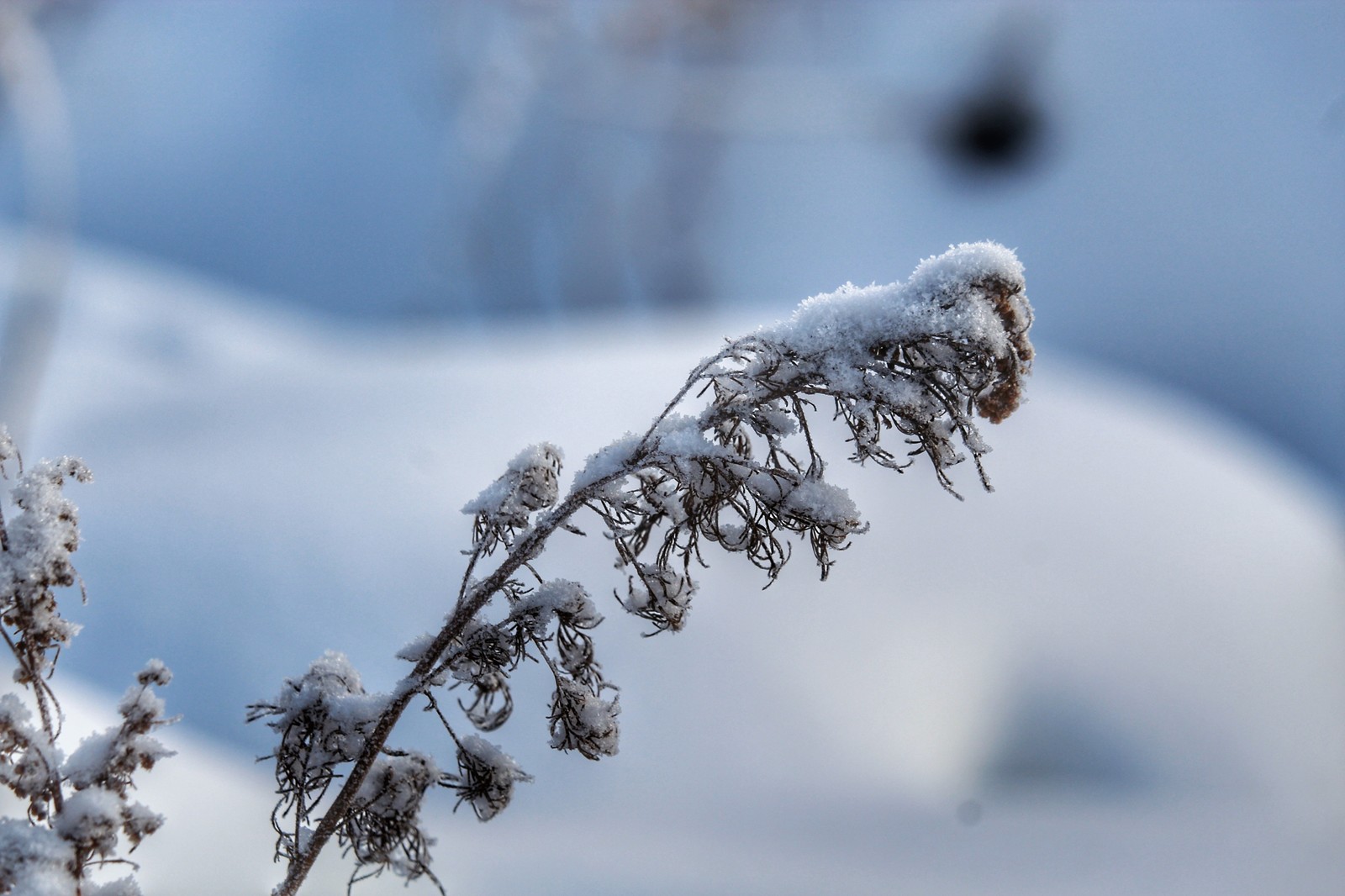 Winter sketch - My, Dzerzhinsk, The photo, Youtube, Canon 1300d, Canon, Huawei mate 9, Longpost, Video