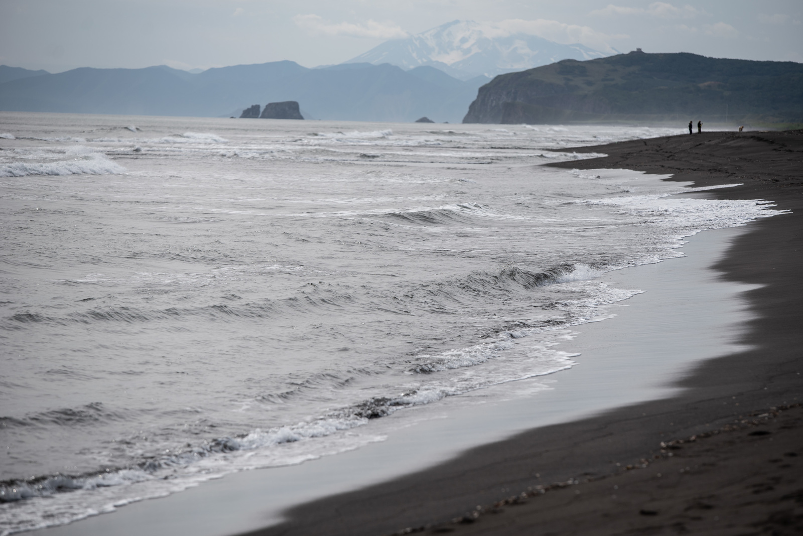 Kamchatka and its wonders - My, Kamchatka, The photo, The mountains, Dog, Alaskan Malamute, Longpost