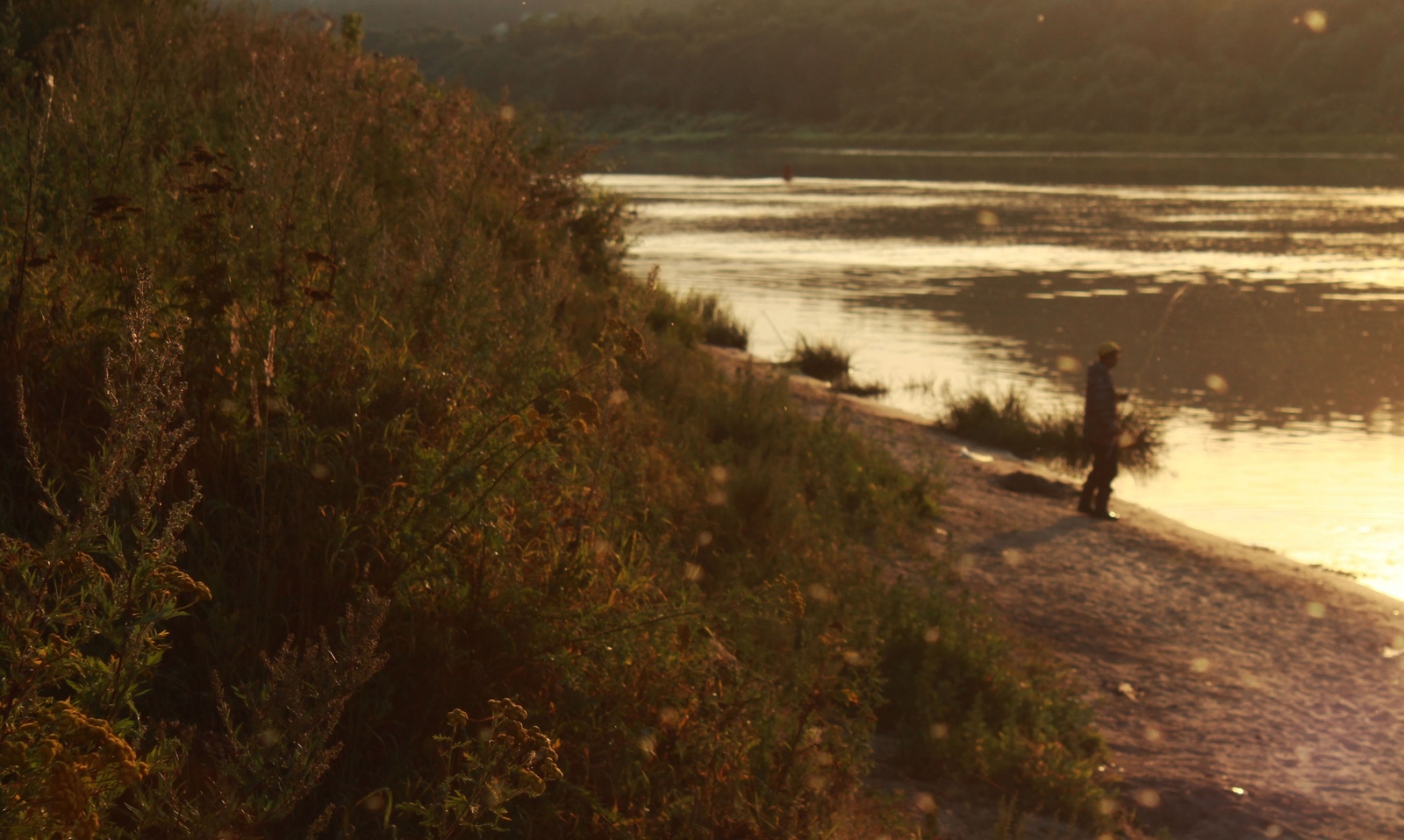 Evening fishing is great - My, Nature, The photo, Fishing, Oka, River, beauty, Summer, Longpost