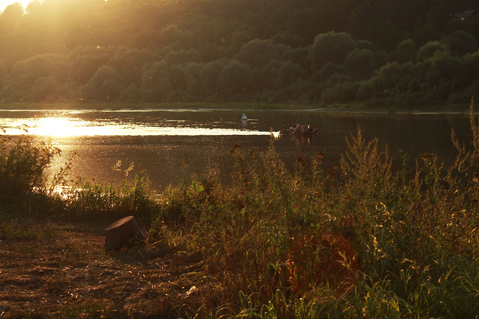 Evening fishing is great - My, Nature, The photo, Fishing, Oka, River, beauty, Summer, Longpost