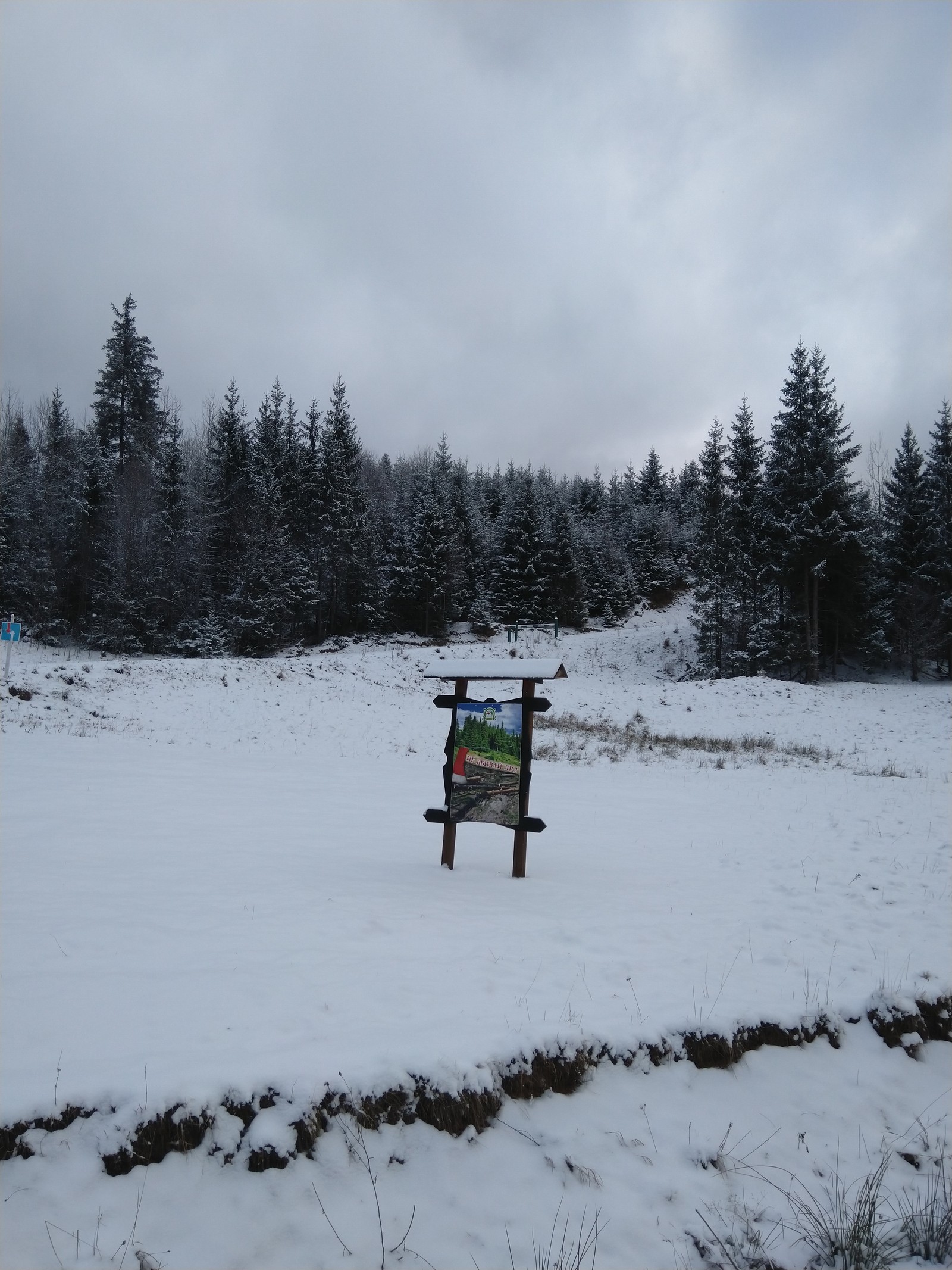 About mountains - My, The mountains, Hoverla, Petros, Carpathians, Hike, Mountaineering, Longpost