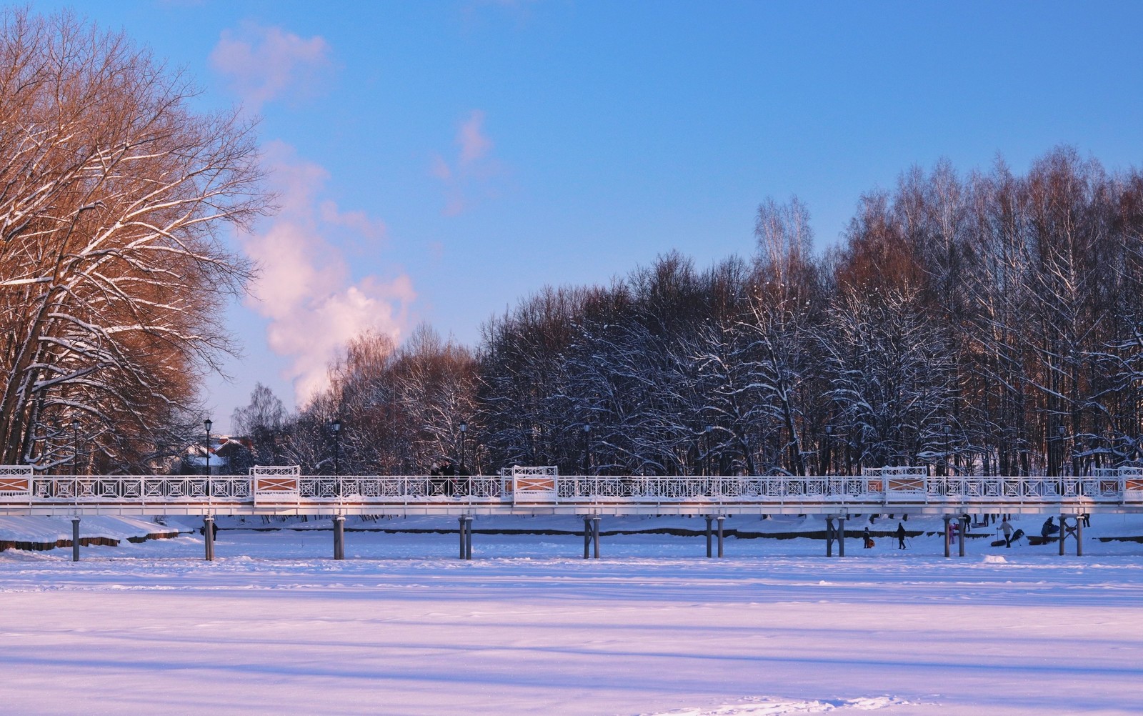 Парк Соловьиная роща Смоленск зимой