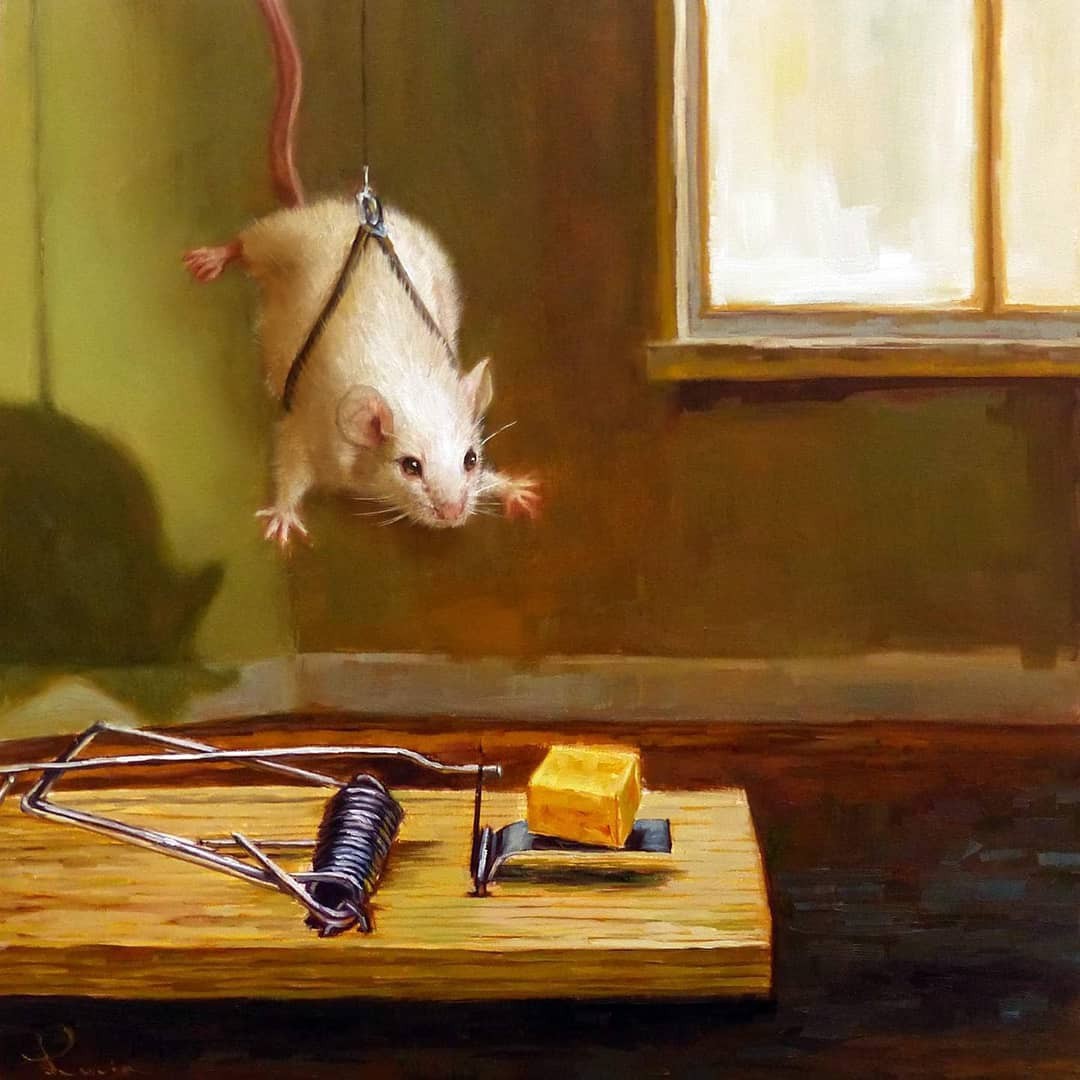 Mission Impossible - Drawing, Mousetrap, Mouse, Lucia Heffernan