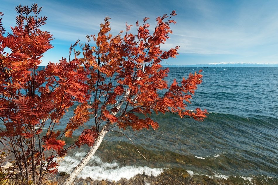 Beauty of nature. Baikal. - Baikal, beauty of nature, Travel across Russia, Tourism, Longpost