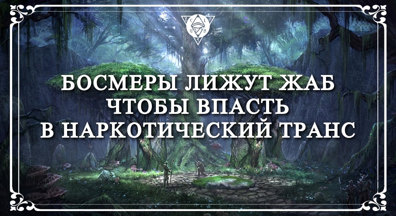 10 interesting facts about the Bosmer - Bosmer, The elder scrolls, The Elder Scrolls V: Skyrim, The Elder Scrolls Online, Interesting, Facts, Longpost