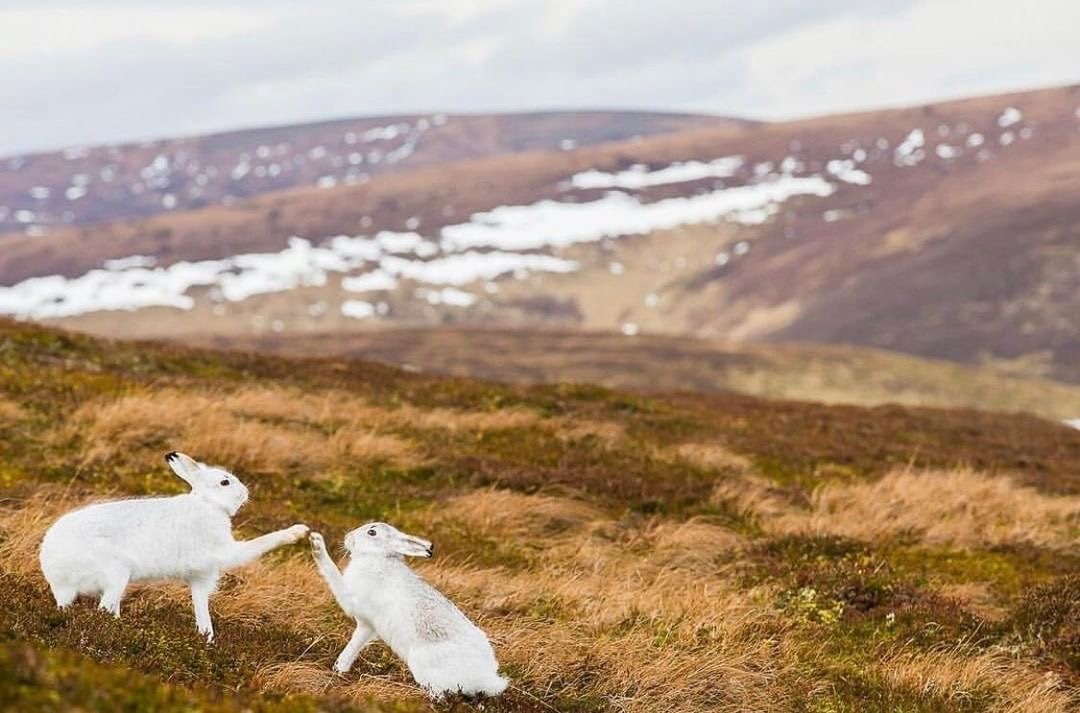 High five, bro! - The photo, Discovery, Instagram