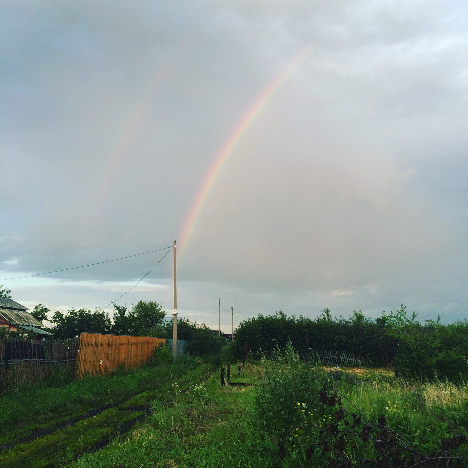 Rainbow - My, Rainbow, Dacha, Nature, Grass, After the rain, Sky, Landscape, The photo