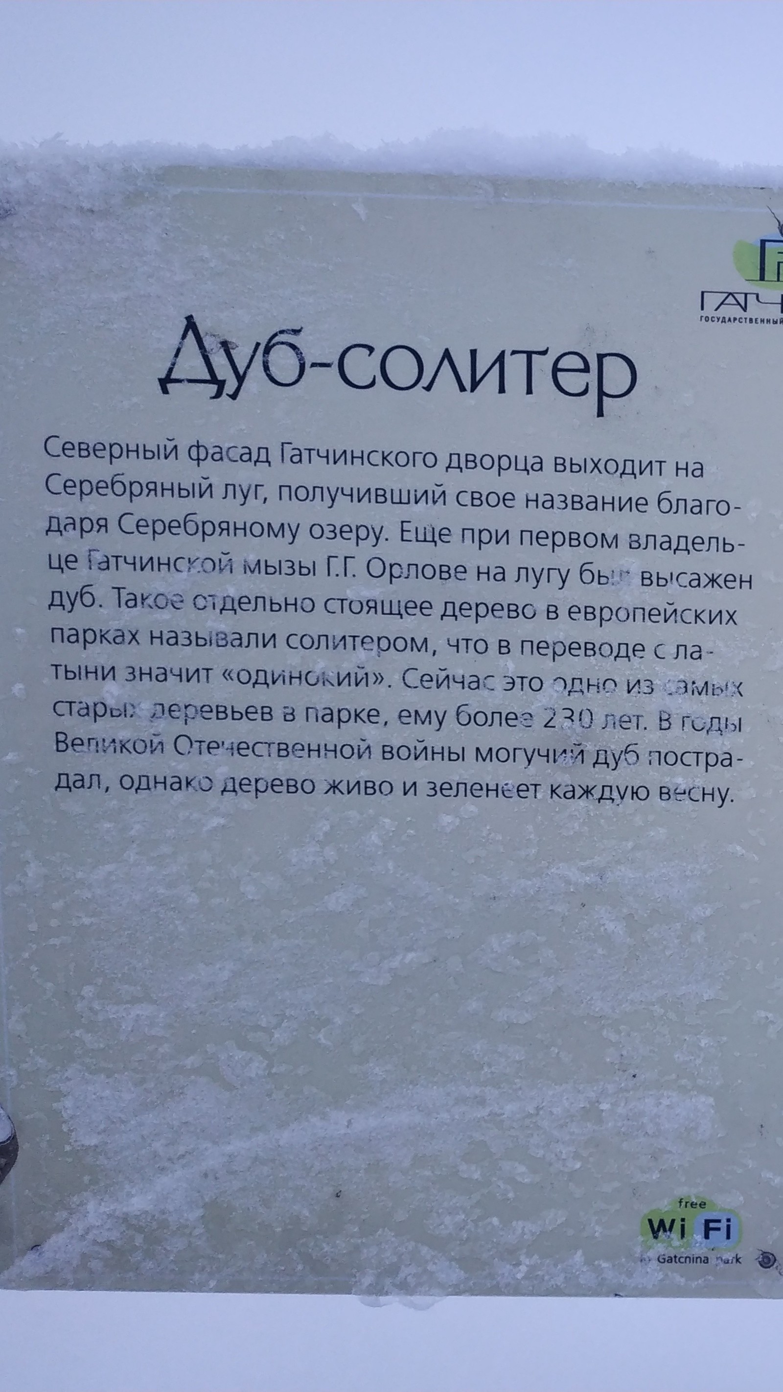 Ленинградская область. Город Гатчина. Гатчинский дворец, зима. | Пикабу