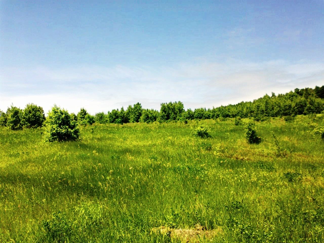 Nature - My, Дальний Восток, Khabarovsk region, Nature