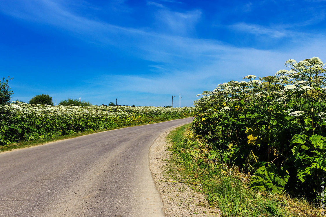 Bicycle tour in Northern Perm. - My, Bike trip, Travels, The photo, , , , Nyrob, Longpost