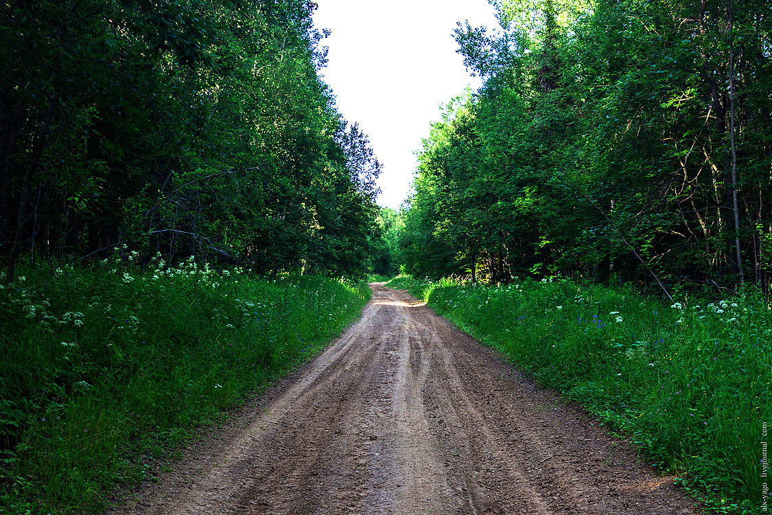 Bicycle tour in Northern Perm. - My, Bike trip, Travels, The photo, , , , Nyrob, Longpost