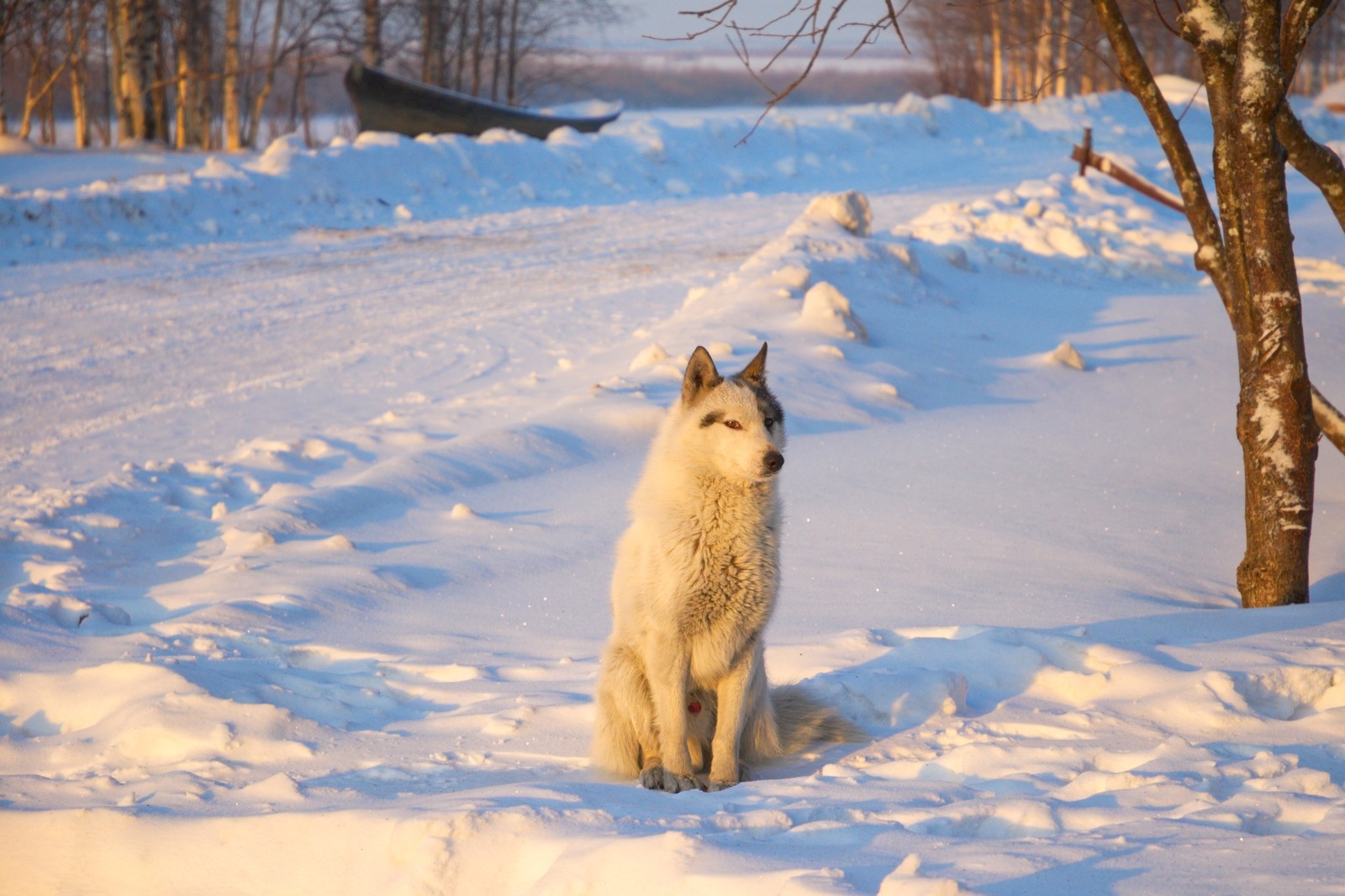 Winter in the Russian North - North, Arkhangelsk region, Nikon, Longpost