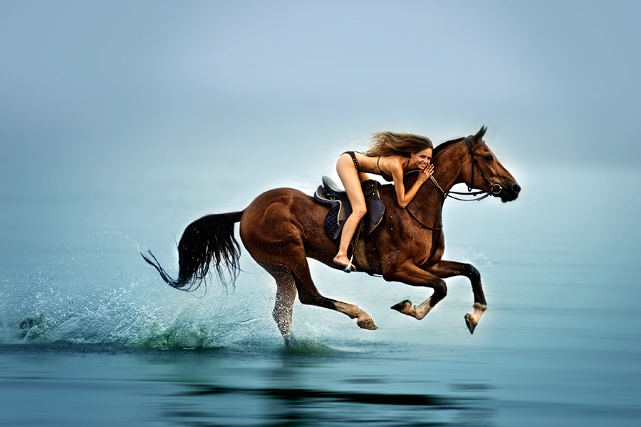 Проскачу на коне. Лошадь бежит. Скачет на коне. Конь скачет. Лошадь скачет.