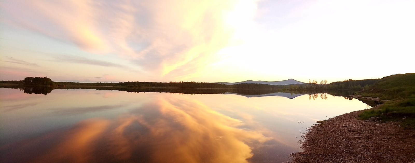 Summer evening on the pond - My, Beginning photographer, Summer, Landscape