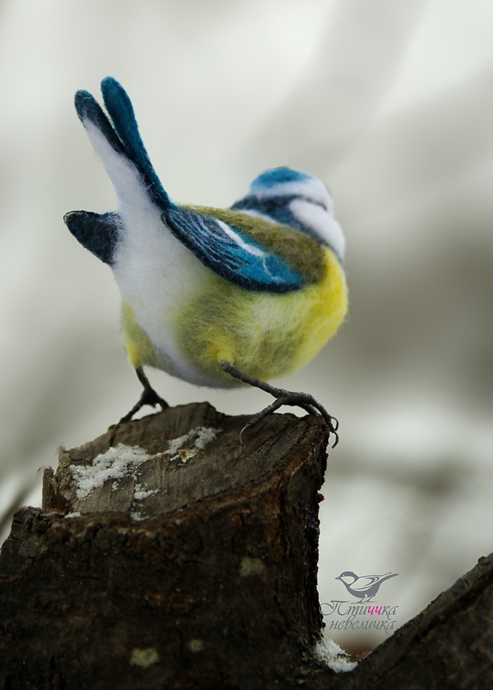 Titmouse LAZOREVKA. In technique, dry felting. - My, Dry felting, Creation, Needlework without process, Needlework, Handmade, Birds, Longpost