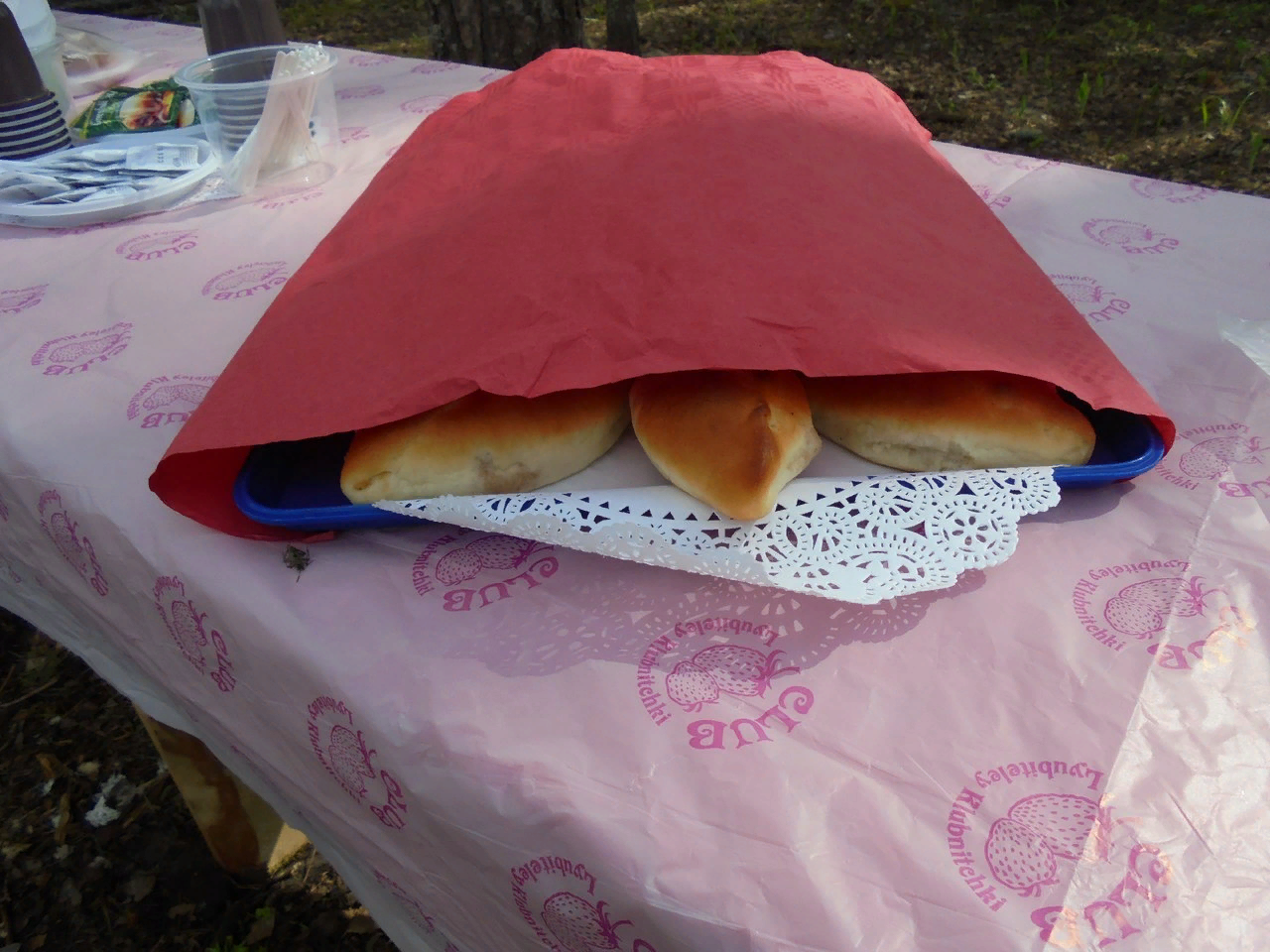 Turtle under a blanket - My, The photo, Humor, Associations, Students, Studies, Studying at the University, Memories, Pie, Pies