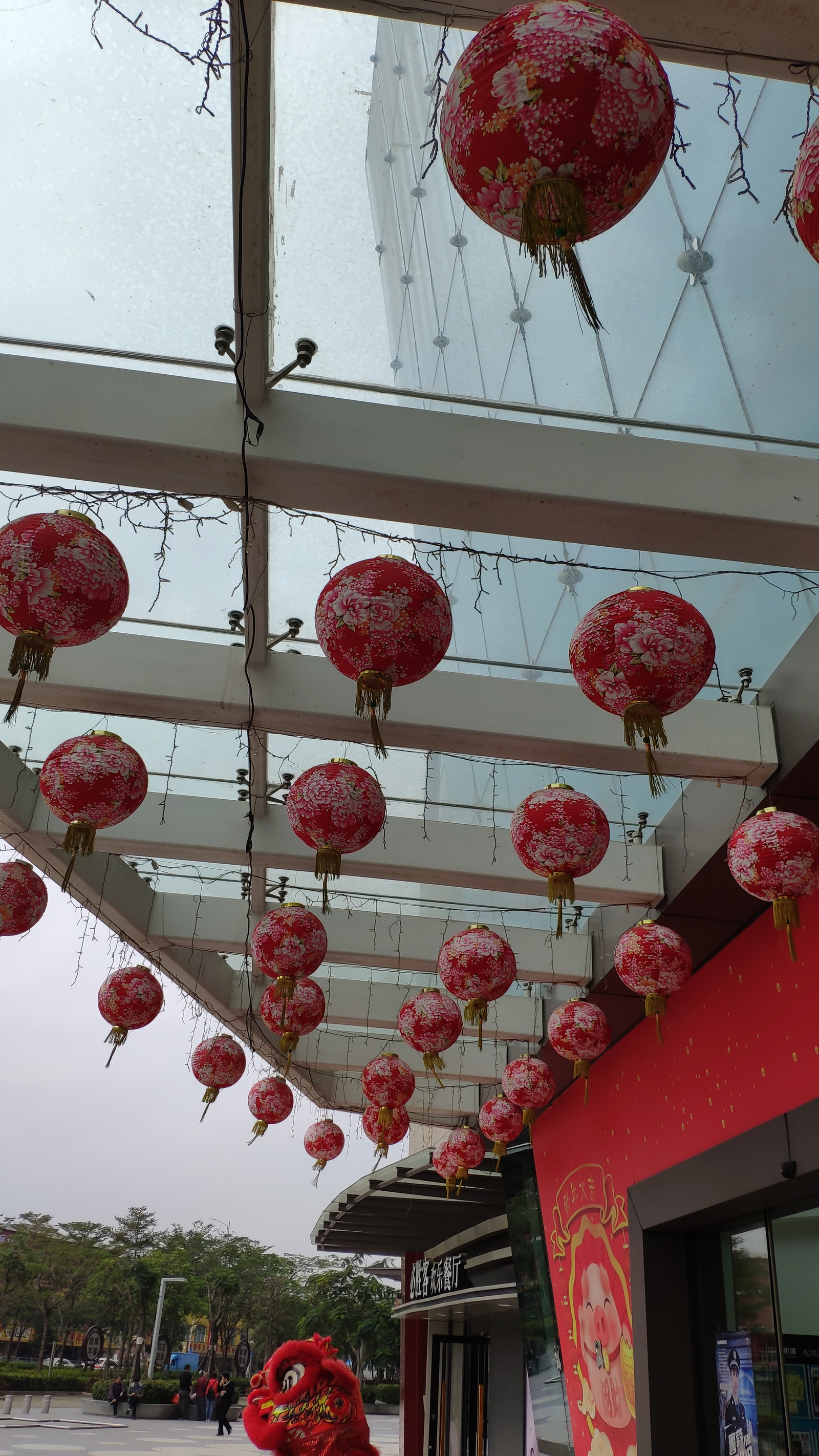 Preparing for the New Year - Spring Festival in China - My, Dennygo, China, New Year, Holidays, Longpost, , , Pig year, Lunar New Year, Video