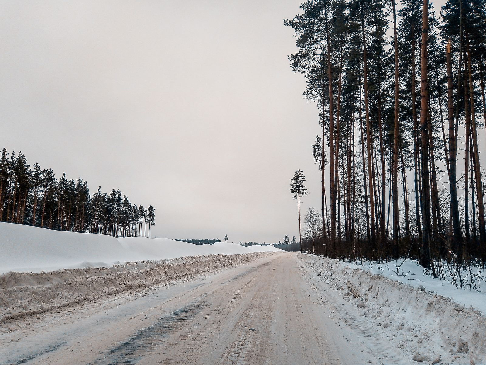 Skis? No, haven't heard - My, A bike, The photo, Bike ride, Moscow region, , Winter, Longpost