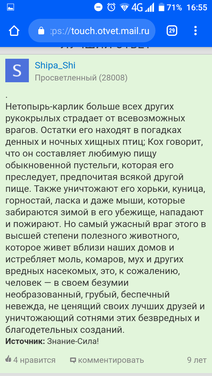 Естественный враг летучих мышей - Юмор, Животные, Длиннопост, Летучая мышь, Скриншот, Оззи Осборн