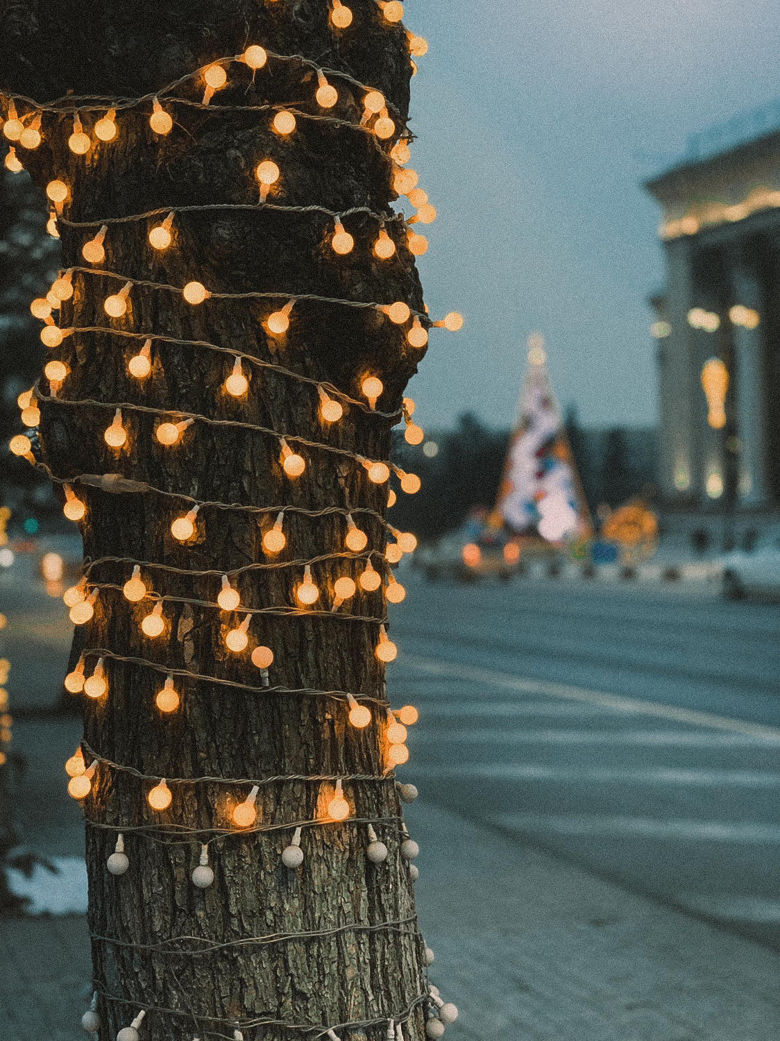 Evening Almaty. Close-up. - My, The photo, Almaty, Kazakhstan, Square, Art, Longpost