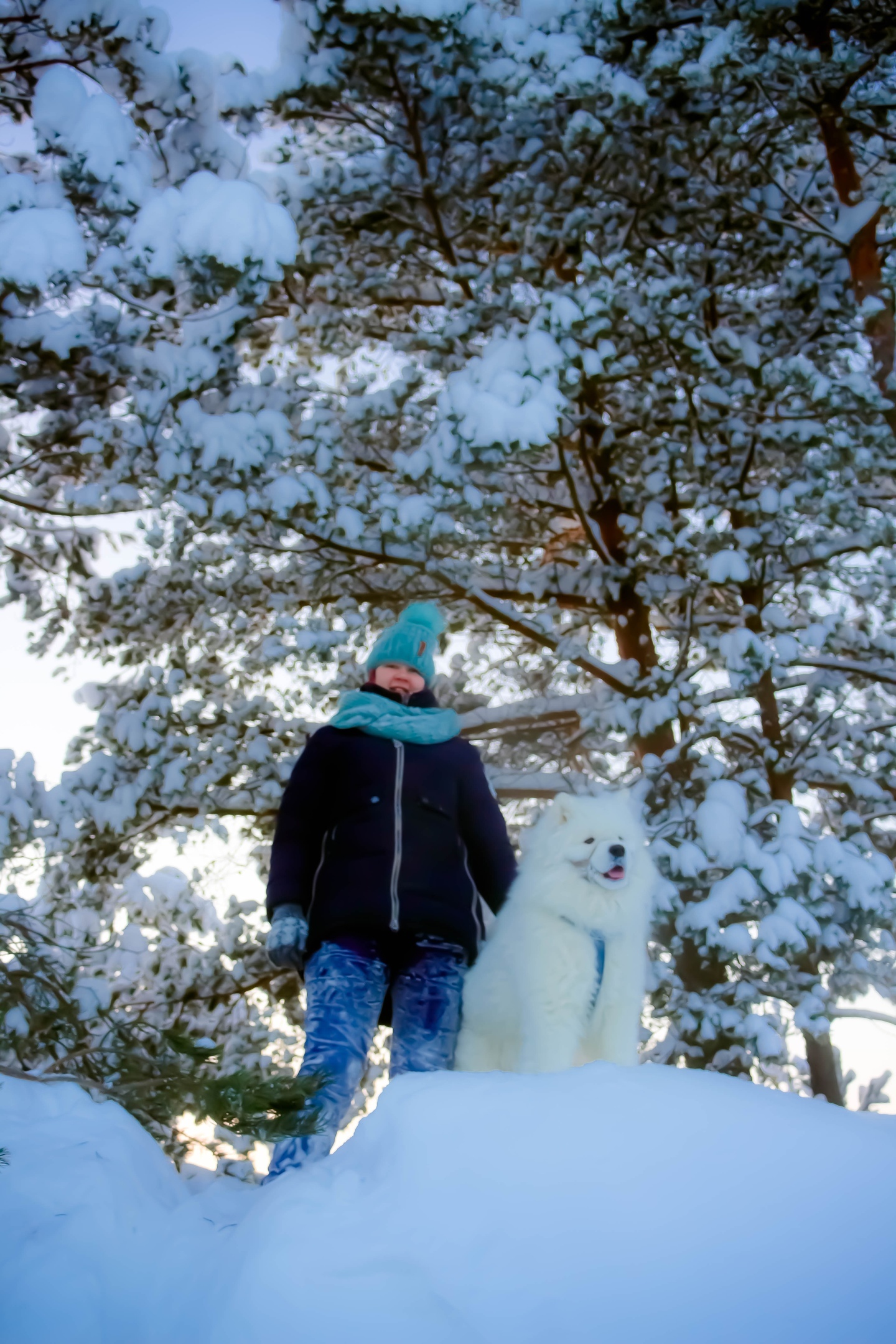 summit conquerors) - My, Samoyed, , Longpost