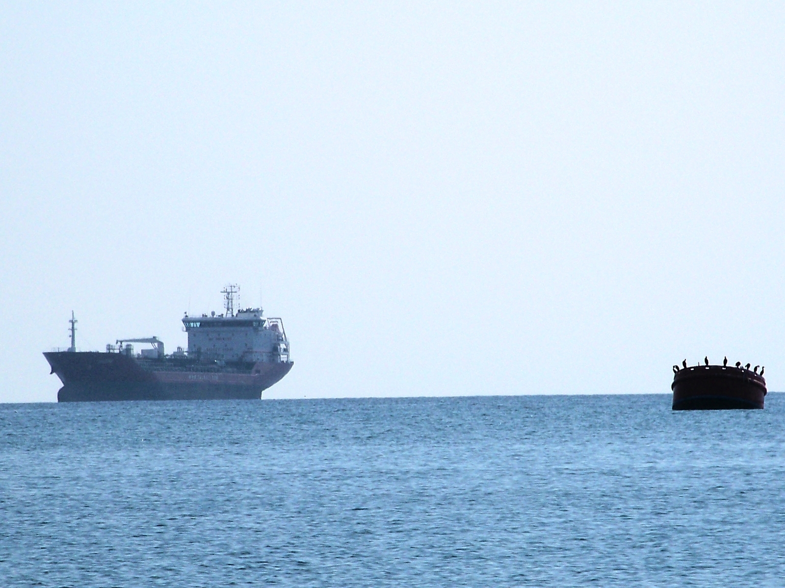 The ships - My, Crimea, Sea, Feodosia, Sevastopol, Koktebel, Ship, Longpost