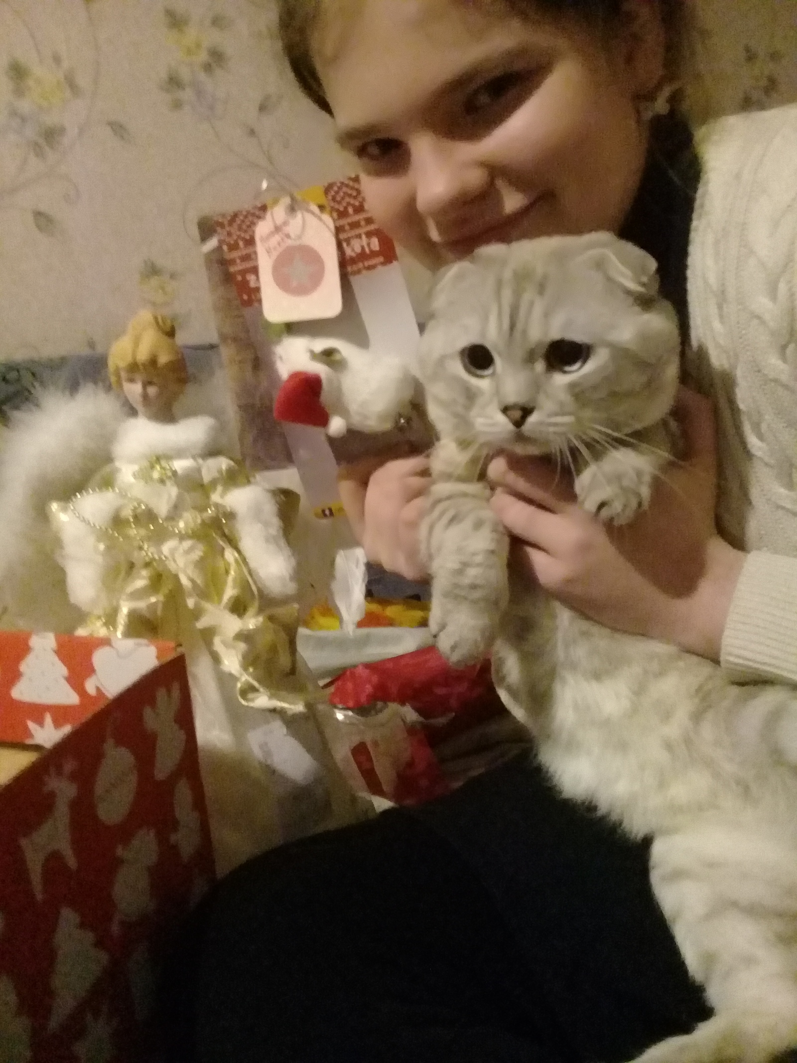 Thank you for the post!!! - Package, Gift exchange, Secret Santa, New Year's gift exchange, Gift exchange report, Longpost