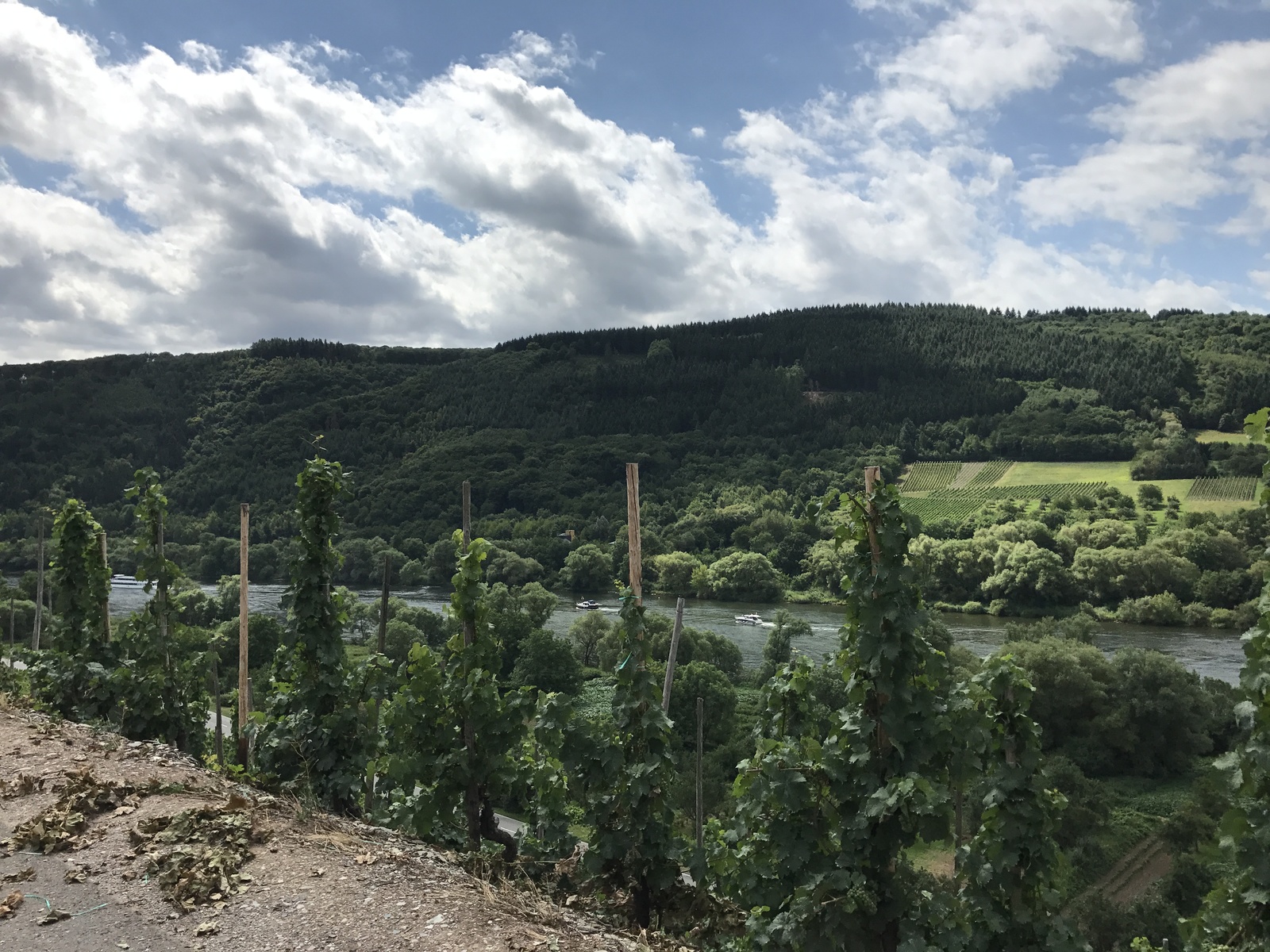 Life in Belgium: how we relax. - My, Our abroad, Moselle Valley, Germany, Wine, Belgium, Alcohol, Longpost
