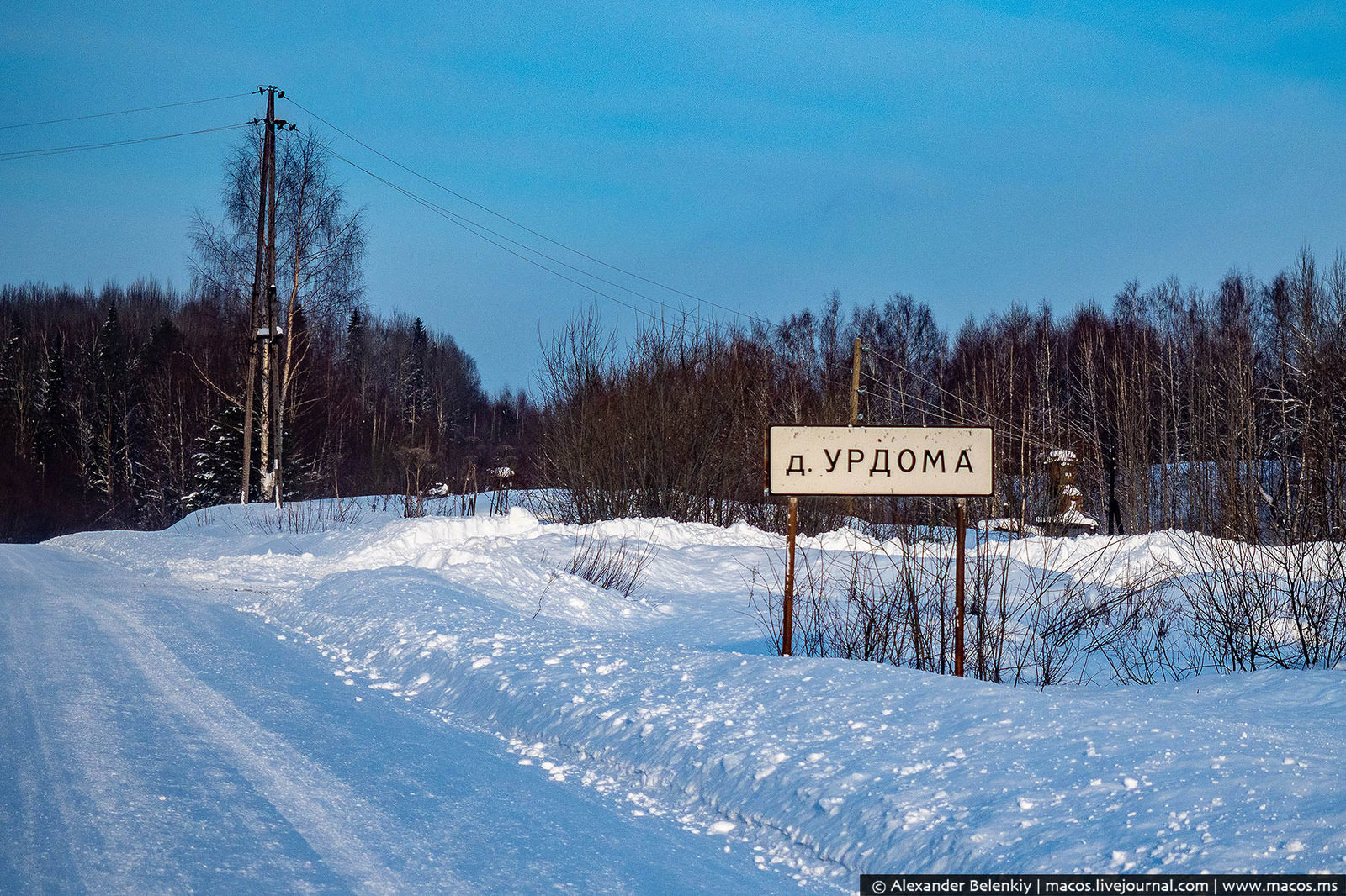 Дурдом | Пикабу