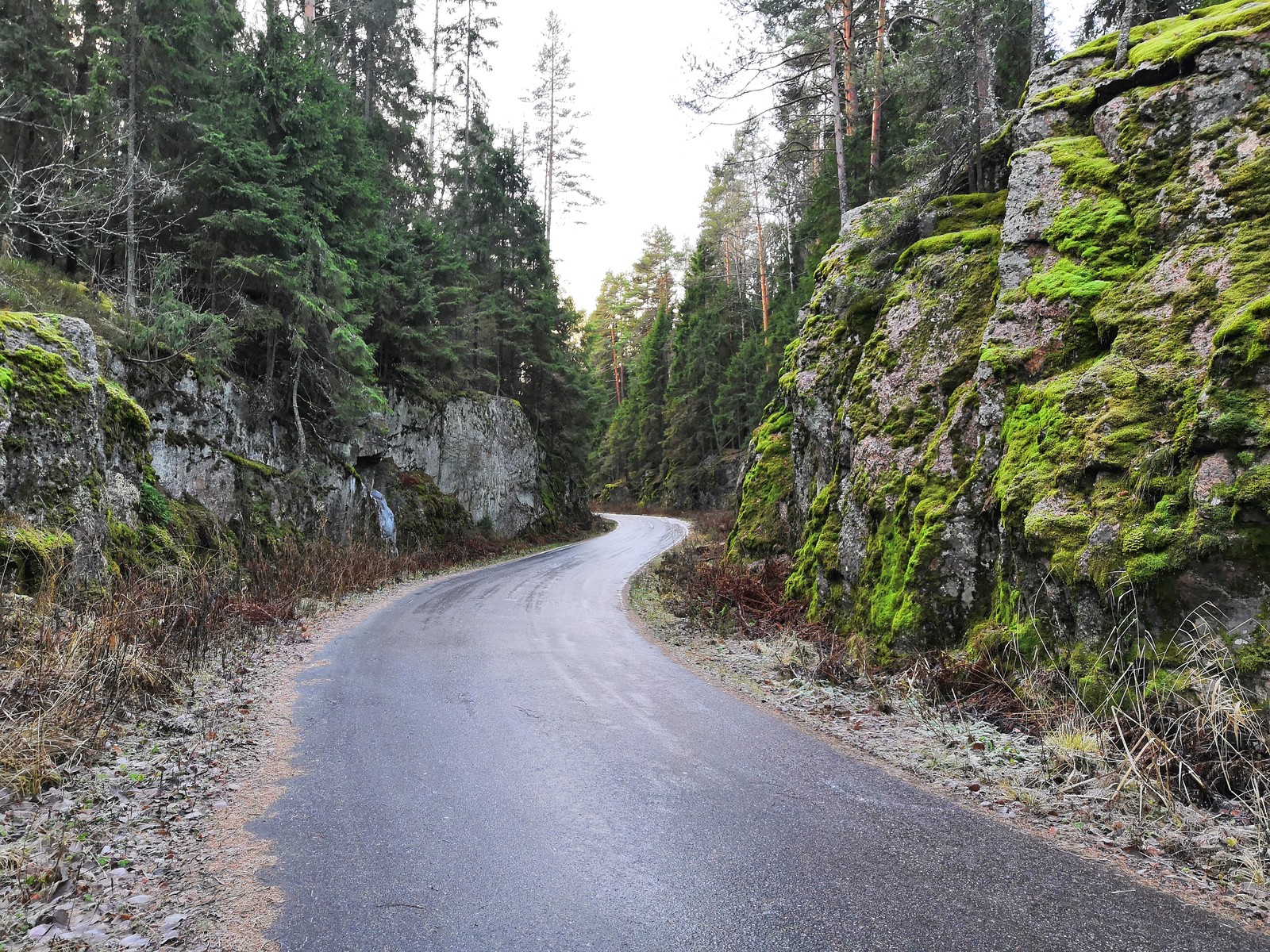 Road through the rocks - My, Road, beauty of nature