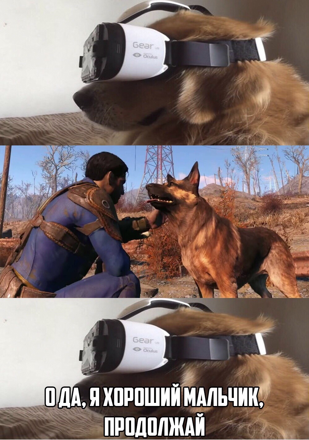 Oh yeah - Games, Computer games, Fallout, Fallout 4, Good boy, Dog, Picture with text