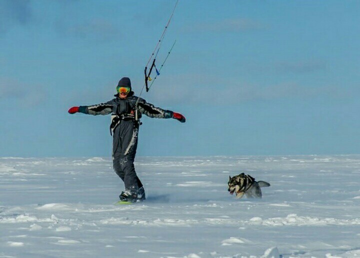 Winter fun - Winter, Snow, , Dog, Snowboard, Entertainment