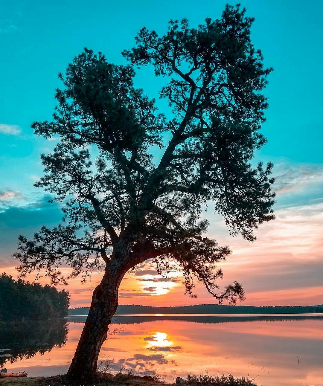 sunsets. - Sunset, Lake, The photo, beauty of nature, Longpost