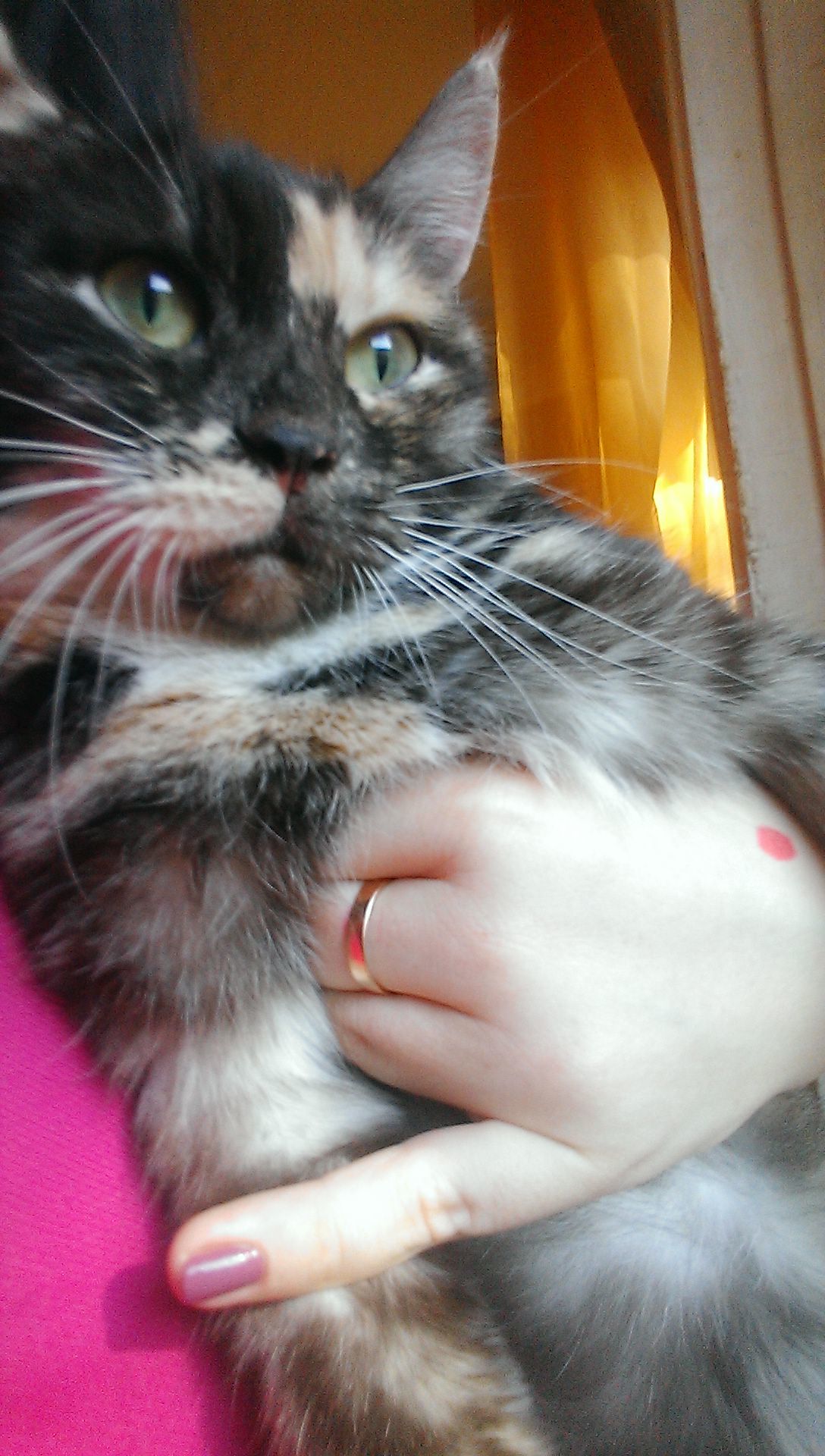 уснула на вписке | Пикабу