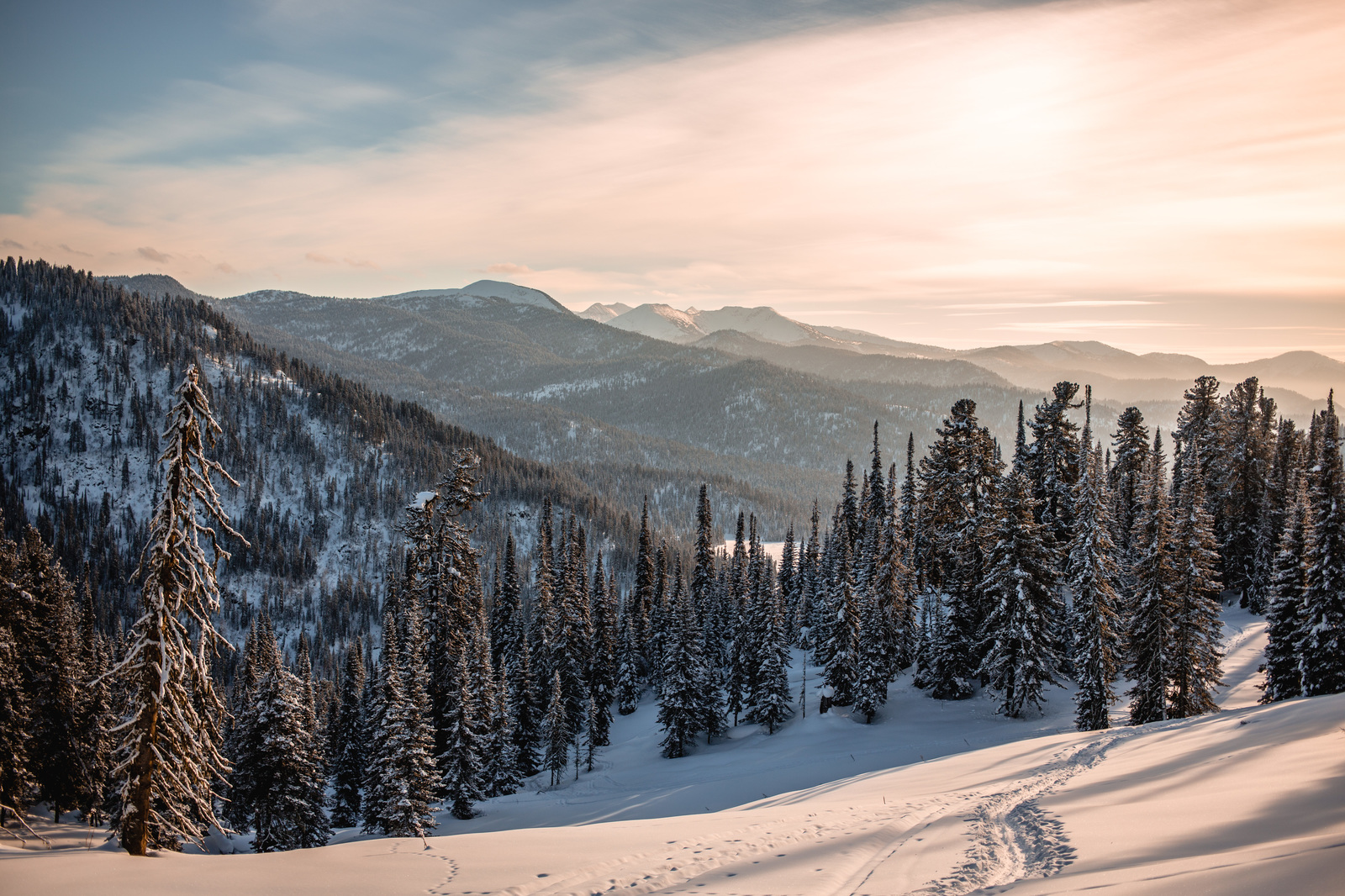 Uya Pass (Altai-Khakassia) - My, Mountain Altai, Ski trip, Taiga, Snow, Forest, Altai Republic