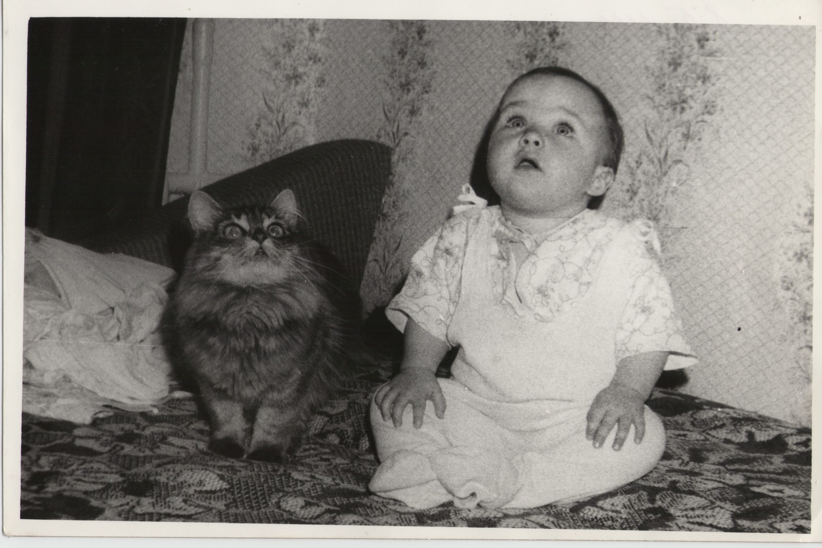 Tishka - My, cat, Old photo, Children