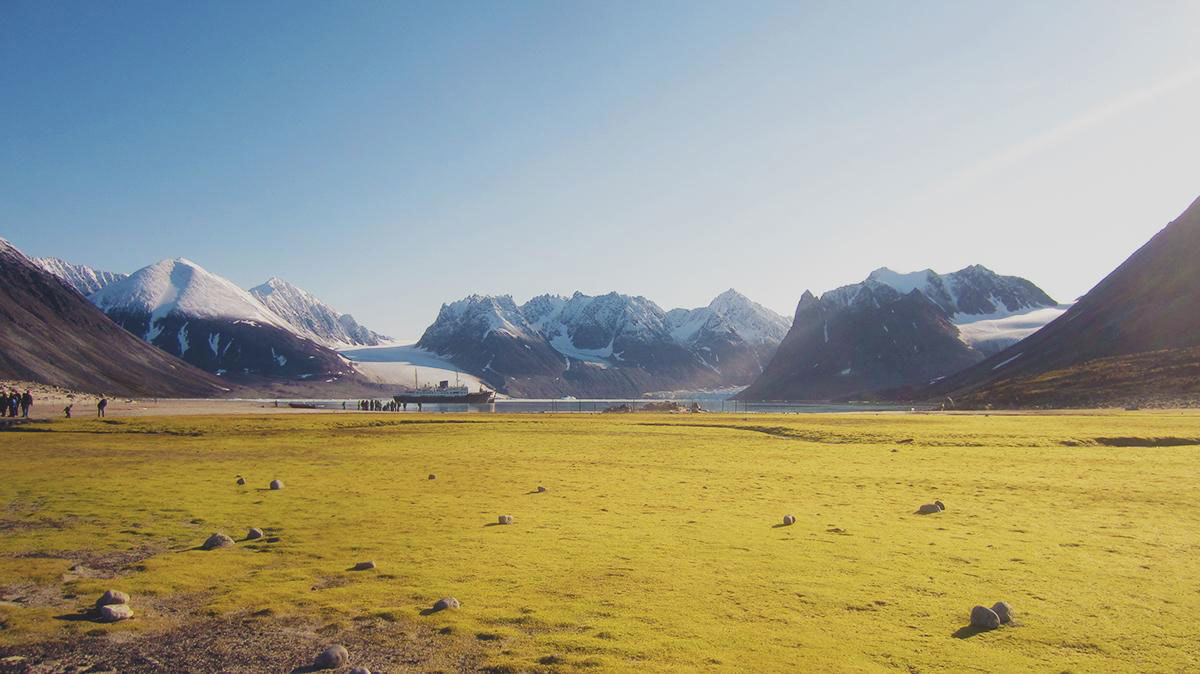 Life in Svalbard. - Spitsbergen, Russia, Norway, Longyearbyen, Arctic, Longpost