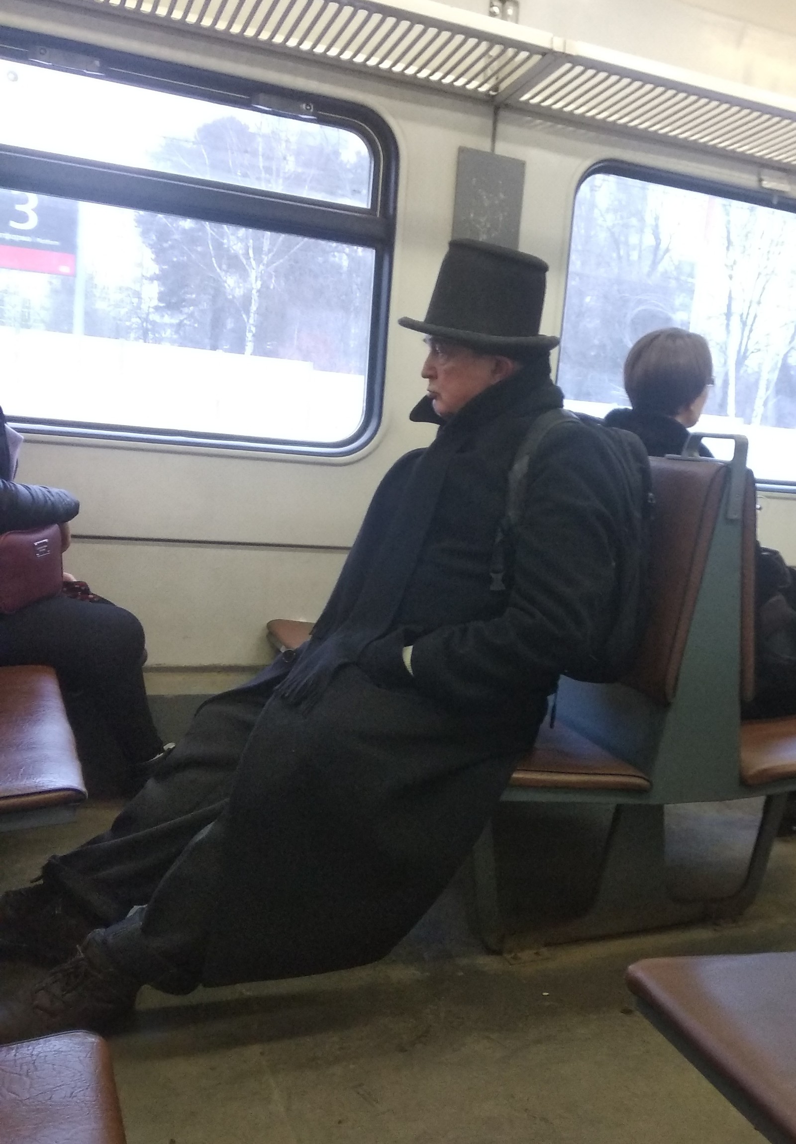 Nothing special, ordinary Moscow region leprechaun - My, Train, Fashion, Leprechaun