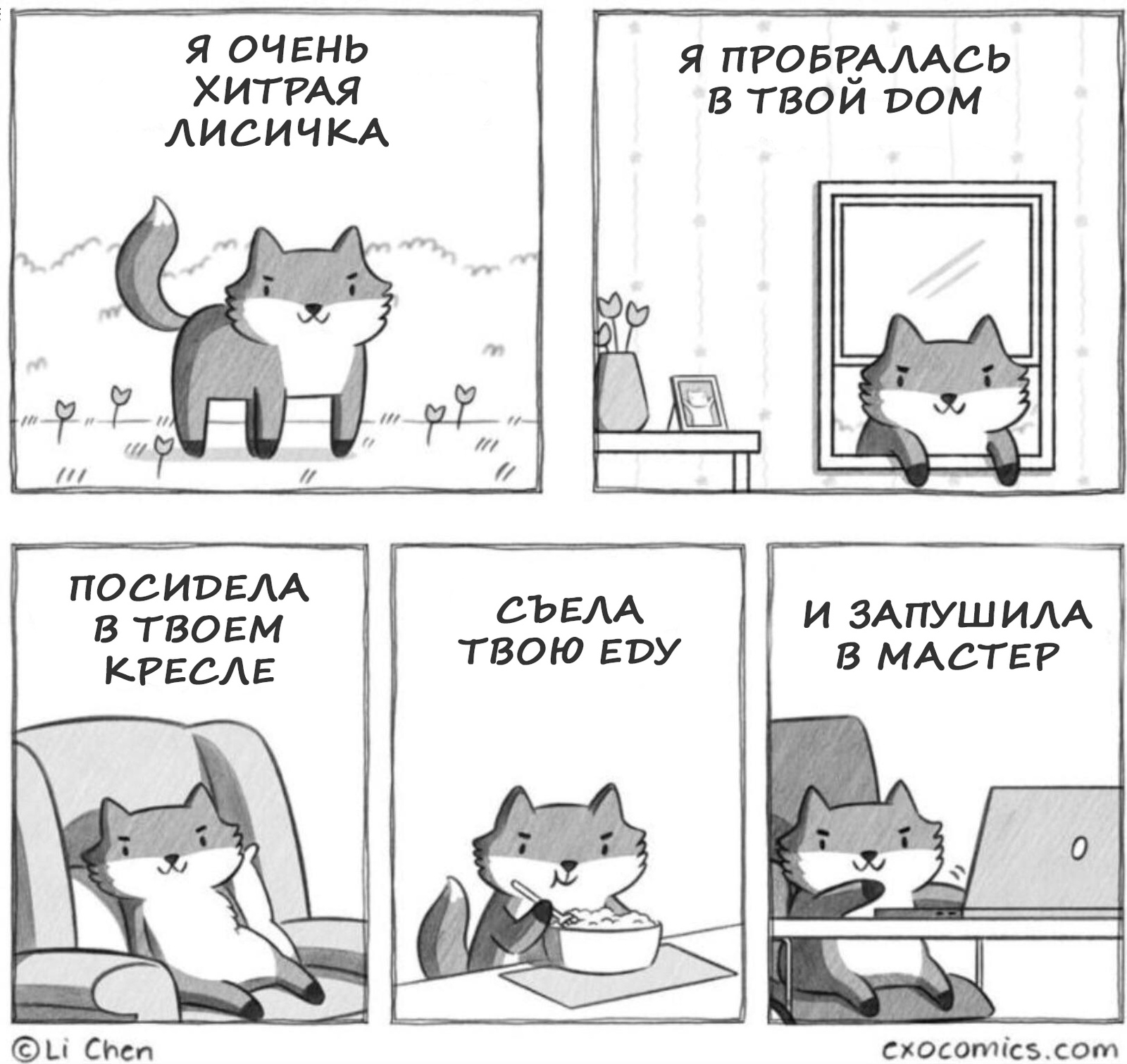 Foxes are very smart - Humor, Fox, IT humor, Programming