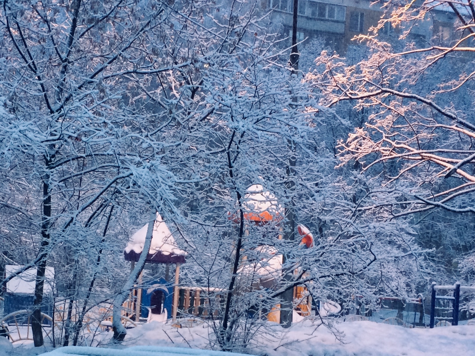 What a beauty! - My, beauty of nature, The photo, Winter