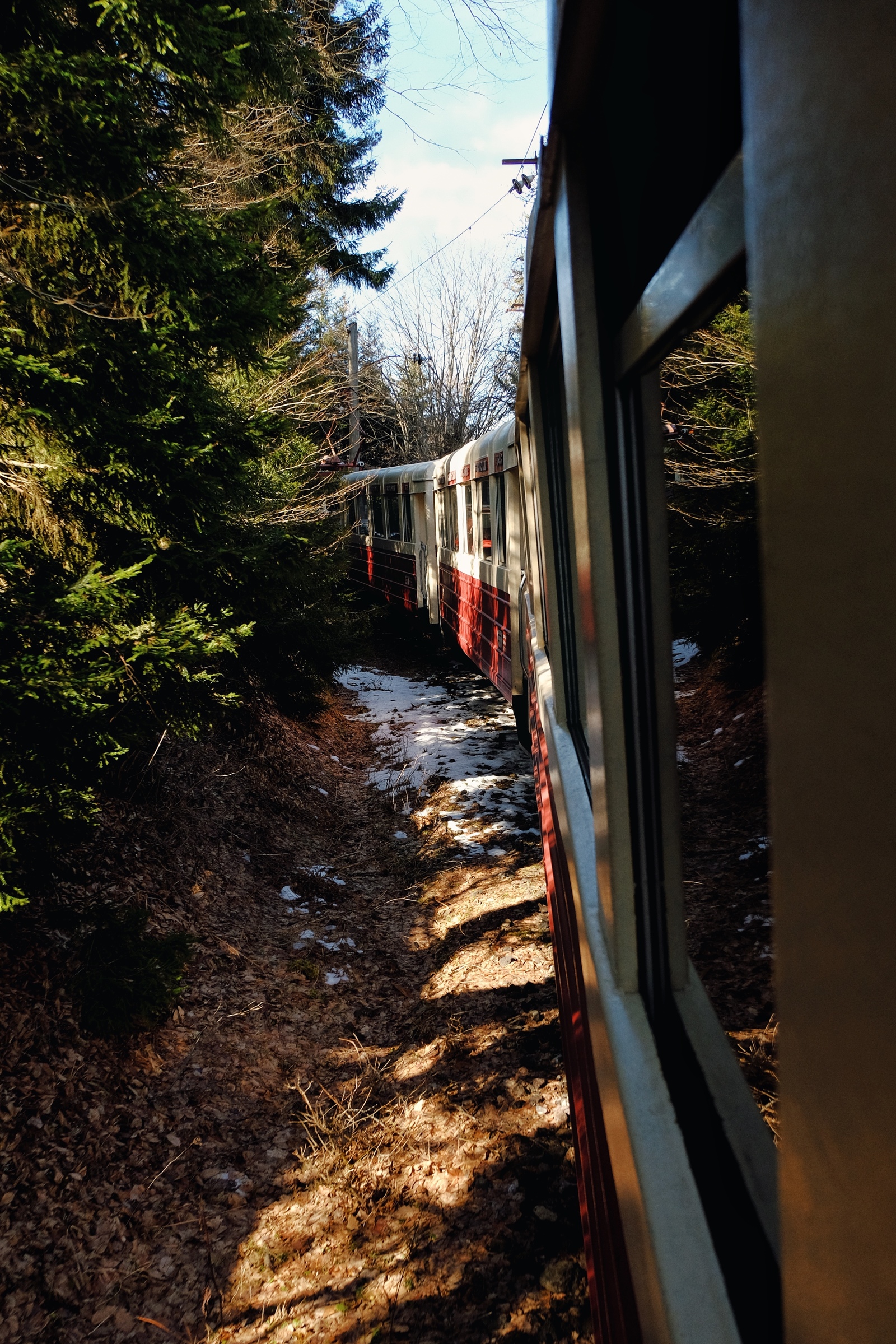 Cuckoo - My, The photo, Travels, A train, Georgia, Borjomi, Forest