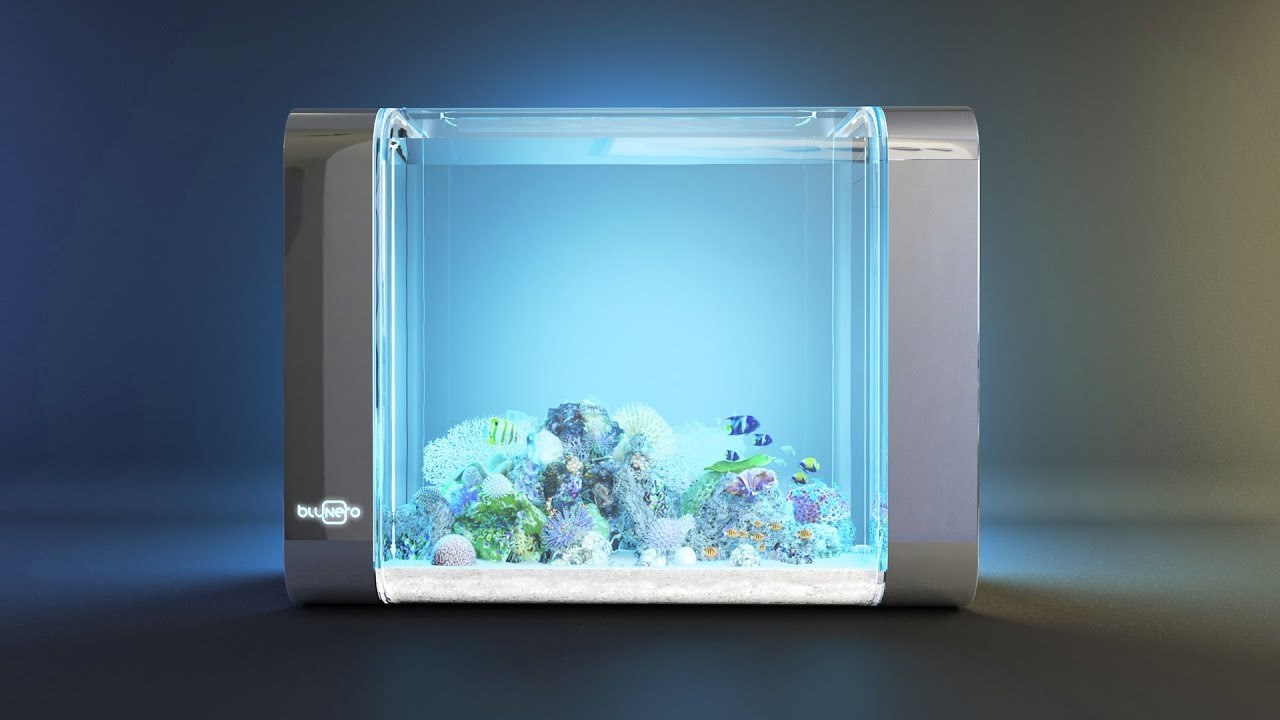 Bluenero: the first smart aquarium - Kickstarter, Гаджеты, Technologies, Aquarium, Smart House, Cool, GIF, Longpost