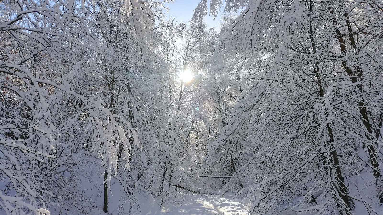 Wish Fulfillment Morning - My, The photo, Landscape, Seasons, , Winter, Longpost